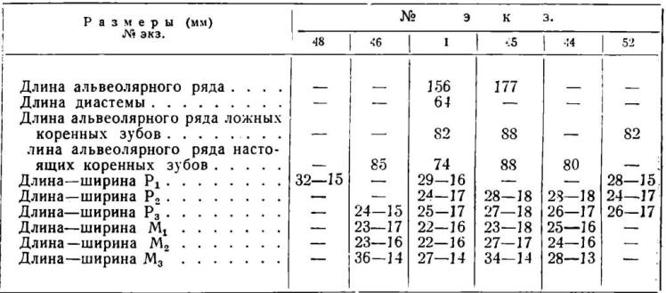 Таблица 6. Измерения коренных зубов нижней челюсти лошади из Старой Рязани