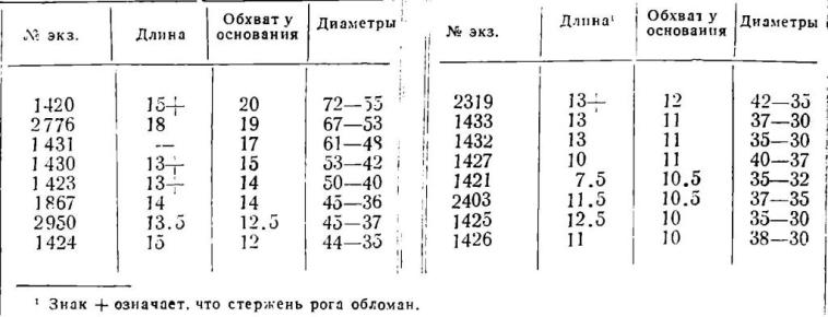  Таблица 2. Измерения костных стержней рогов крупного рогатого скота из Старой Рязани