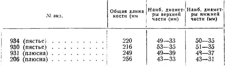 Таблица 4. Измерения пястных и плюсневых костей лошади из Старой Рязани