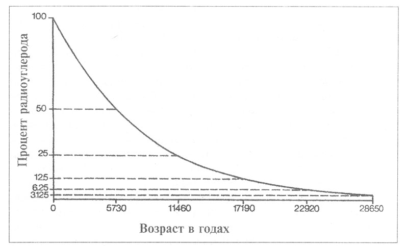 Рис. 8. Кривая распада радиоактивного углерода.