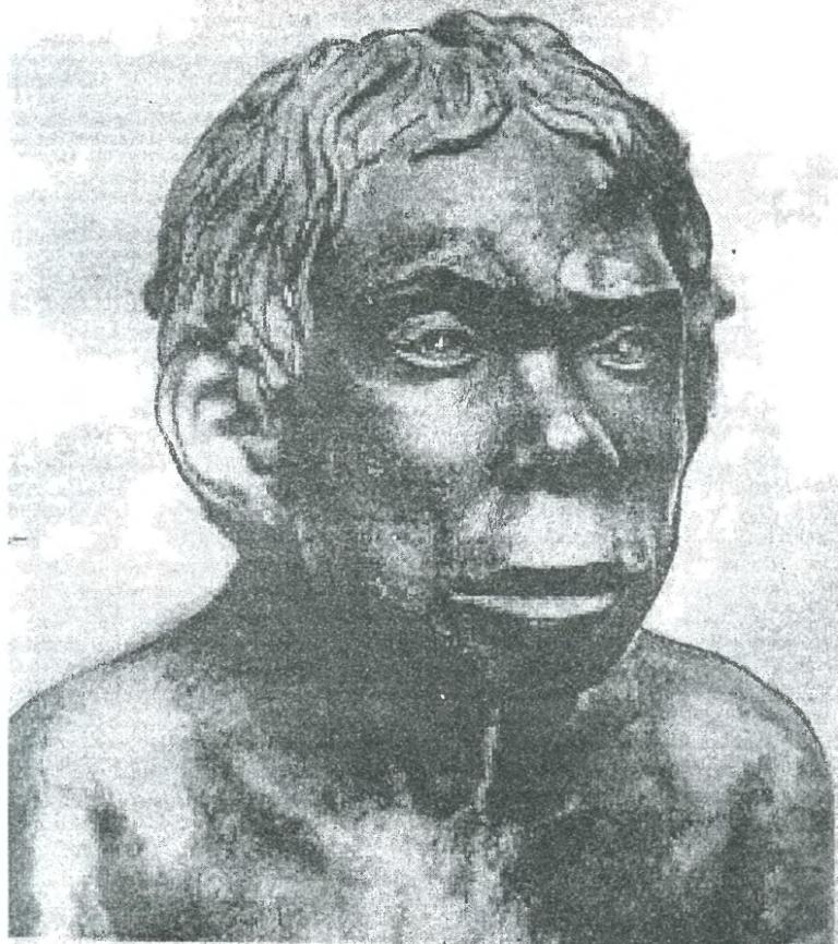 Графическая реконструкция по черепу неандертальца. Работа М.М. Герасимоза. Такого облика были обитатели Сибири раннего палеолита.