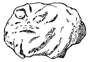 Рис. 6. Резной камень из раскопок в Галиче