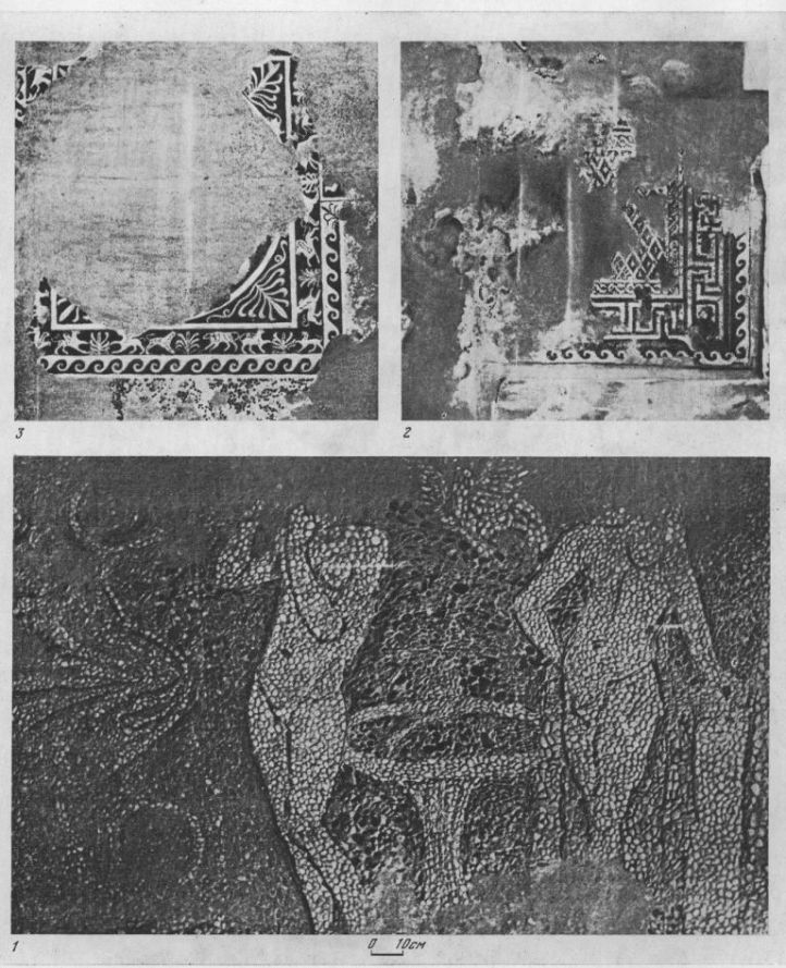 Таблица CXI. Мозаики 1 — Херсонес, II в. до н. э.; 2 — Ольвия, II в. до н. э.; 3 - Ольвия, I в. н. э. Составитель М. М. Кобылина