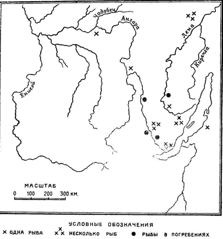 Рис. 2. Карта находок каменных рыб.