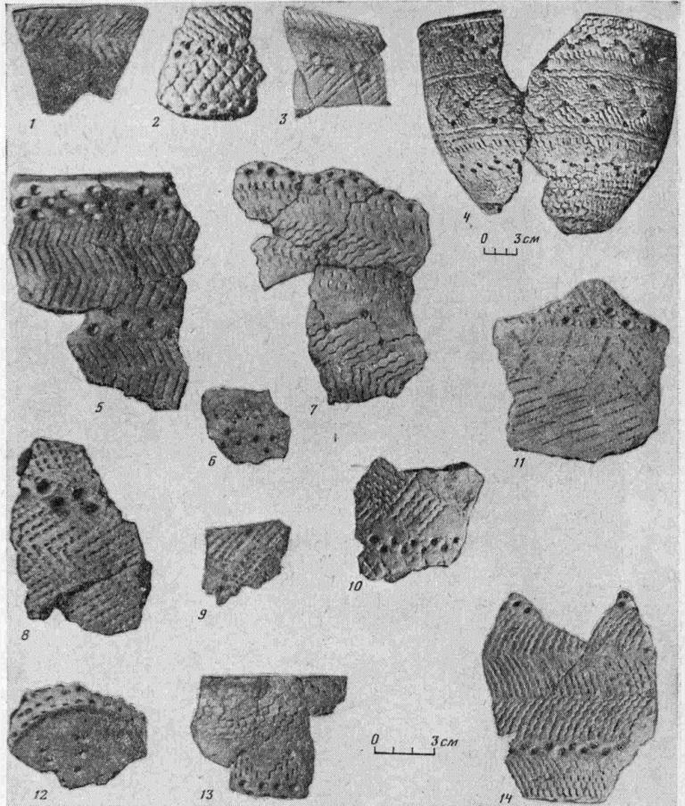 Рис. 3. Керамика хэяхинского типа. 1—3, 5—13 — Хэяхинская стоянка; 4 — горшок из Салехардского музея