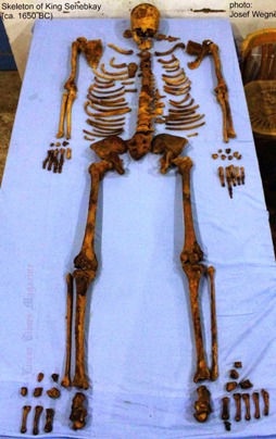 Скелет фараона Сенебкая.
