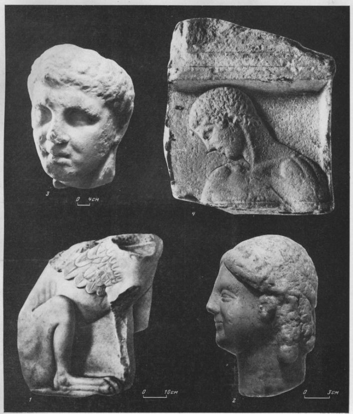 Таблица XCVIII. Скульптура VI—IV вв. до н. э. 1 — статуя грифа (может быть, сфинкса) из Ольвии, первая половина V в. до н. э.; 2 - голова куроса из Кеп, конец VI в. до н. э.; 3 — голова юноши, I V в. до н. э., Херсонес; 4 — верхняя часть аттической стелы с изображением юноши, первая половина V в., Пантикапей. Составитель М. М. Кобылина