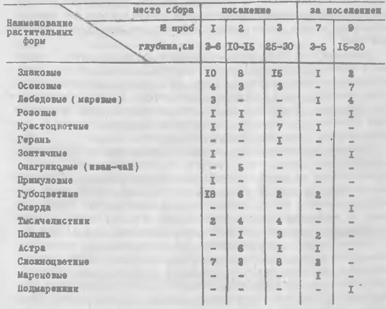 Таблица 2. Состав травянистых растений в спорово-пыльцевых комплексах поселения Шеломок-II