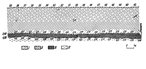 Рис. 4. Разрез по северо-восточной стенке карьера на участках Ю/59—42. I — суглинок коричневый; II — суглинок темно-желтый; III — культурный слой; IV — серо-желтая супесь