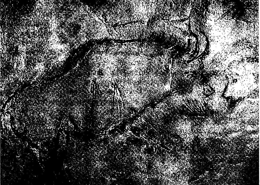 Рис. 34. Изображение бизона из пещеры Нио, Франция. Для него была получена прямая радиоуглеродная дата 12890±160 лет тому назад 