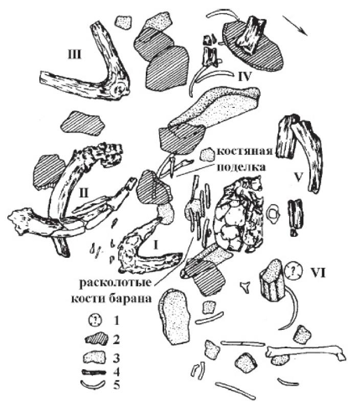 Рис. 25. Мустьерское погребение ребенка в гроте Тешик-Таш Узбекистан; I—VI - рога горного козла, 1 - возможное местоположение шестой пары рогов горного козла, 2 - камни верхнего уровня, 3 - камни нижнего уровня, 4 - кости верхнего уровня, 5 - кости нижнего уровня (нижний уровень - юнец расчистки, после удаления черепа ребенка и рогов козла).