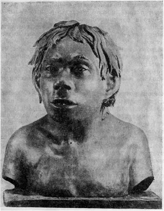 Рис. 2. Тешик-таш. Голова неандертальца (реконструкция М. М. Герасимова)