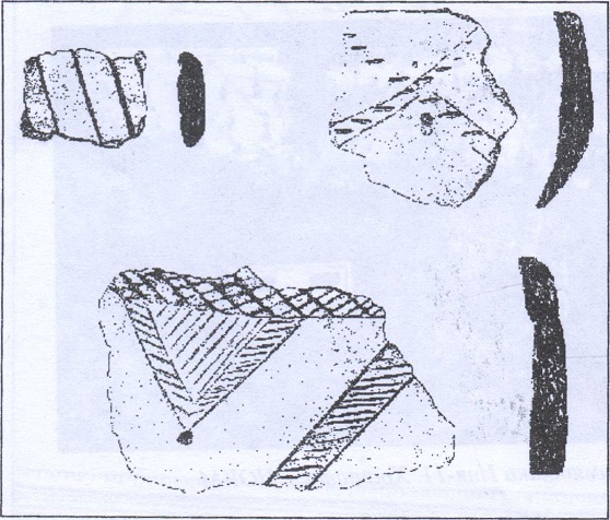 Рис. 29. Керамика с памятника Иня-12. Хранится в НОКМ