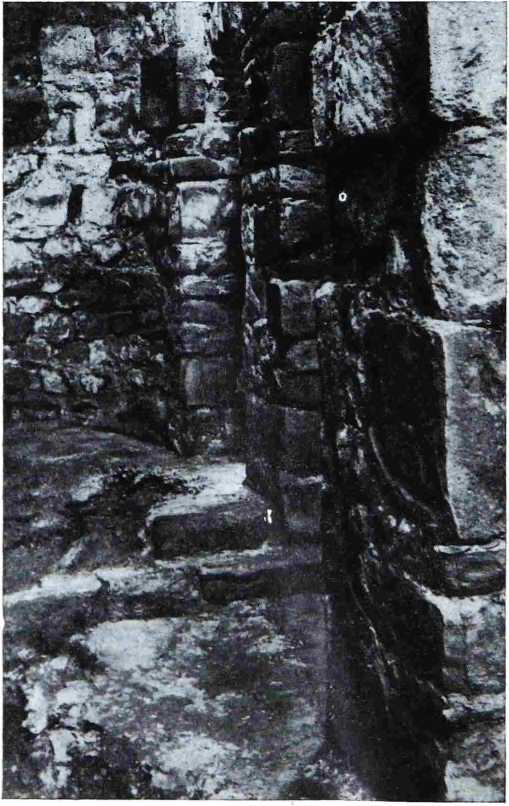 Рис. 10. Остатки солеи в северной апсиде. На переднем плане у основания пилона видны остатки древнего пола храма